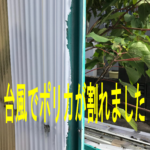 台風で破損した壁を火災保険を使って修理しました（愛知県一宮市）